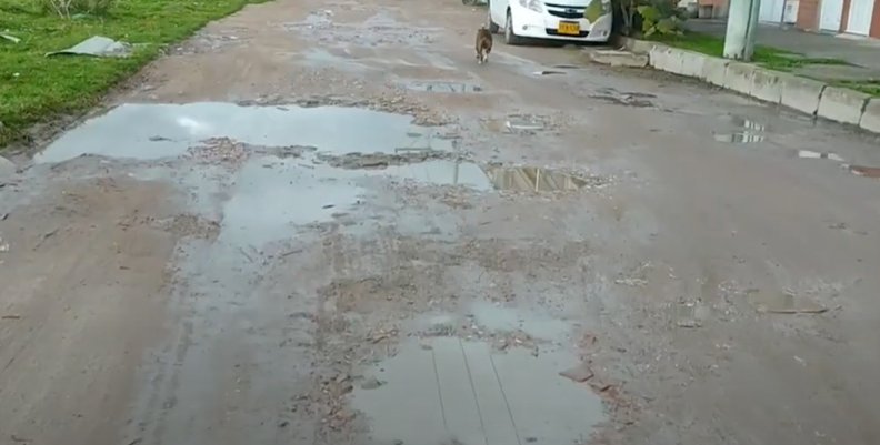 Vías_ Vías_