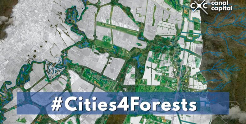 Cities4Forests