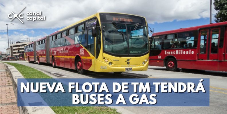 buses-transmilenio