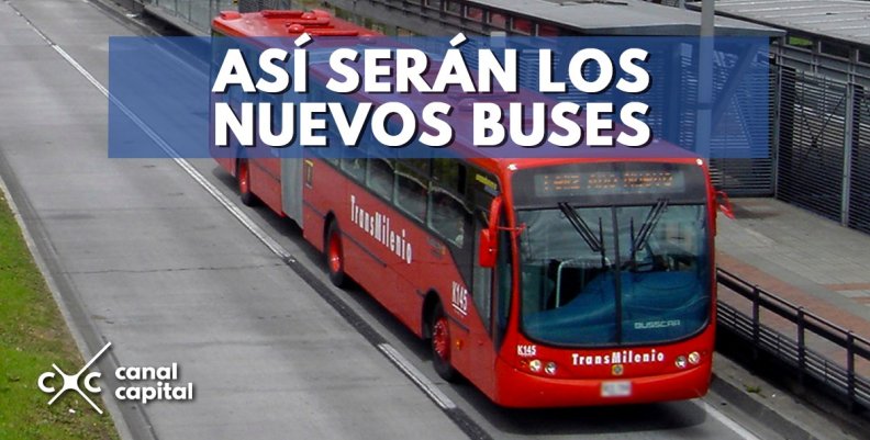 buses-tm