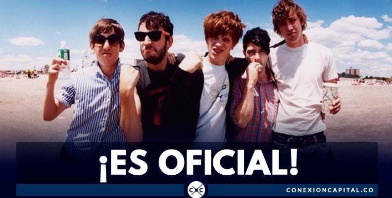 foals