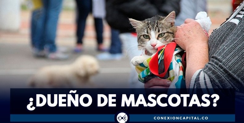 esterilizacion-mascotas