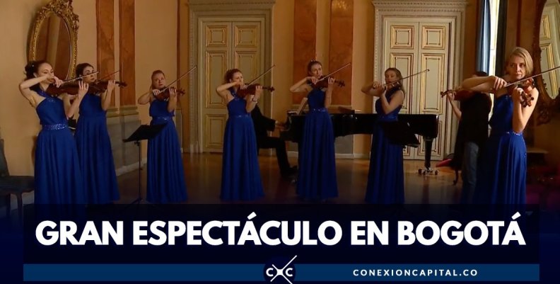 violines-magicos violines-magicos