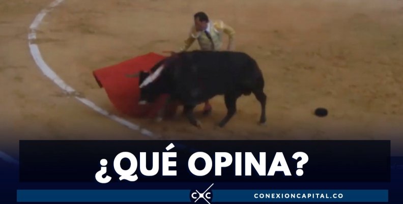 Corridas de toros