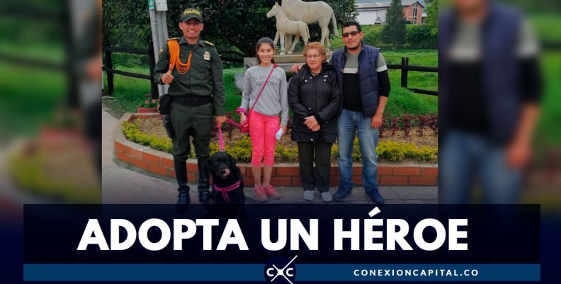 adopte-heroe-canino