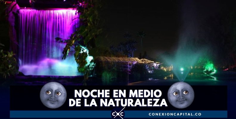 jardin-noche-jardin-botanico