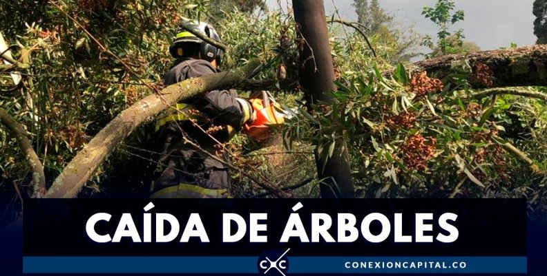 caida-arboles-bogota