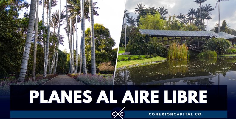 planes-julio-jardin-botanico planes-julio-jardin-botanico