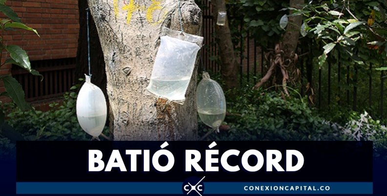 atencion-arboles-enfermos atencion-arboles-enfermos