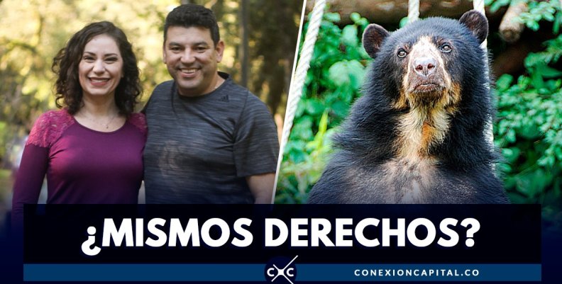 derechos de los animales