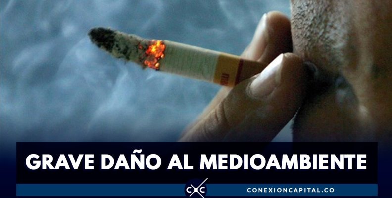 colillas-cigarrillo-bogota colillas-cigarrillo-bogota