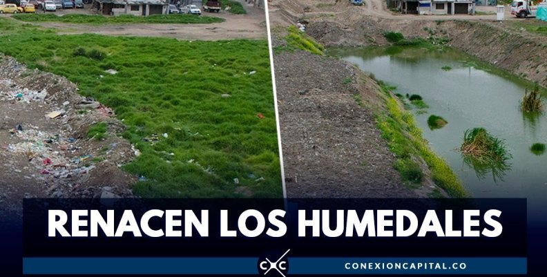 Humedales