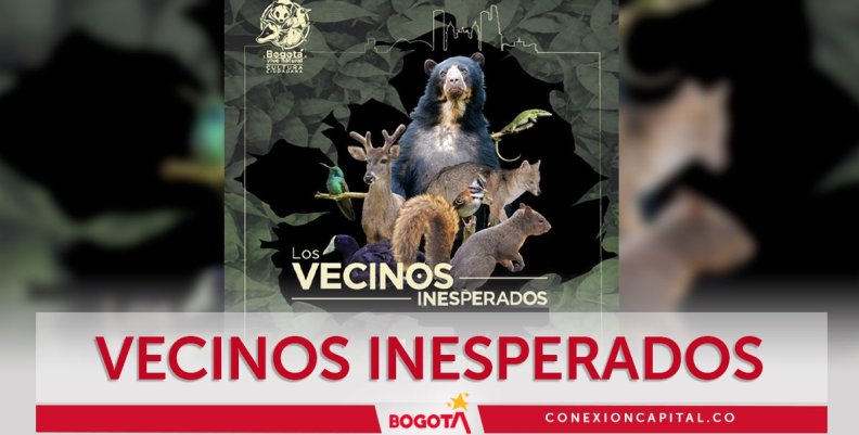 Proyección de Vecinos Inesperados