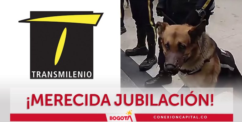 Perros de vigilancia se retiran de las estaciones de TransMilenio