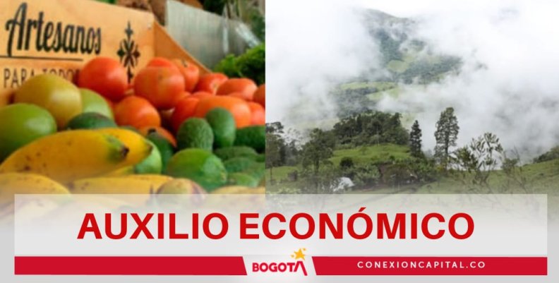 Auxilio económico a campesinos por heladas