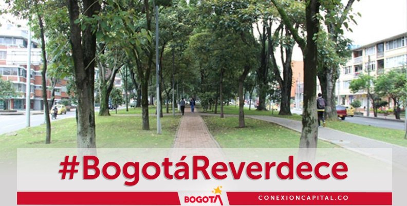 Bogotá Reverdece