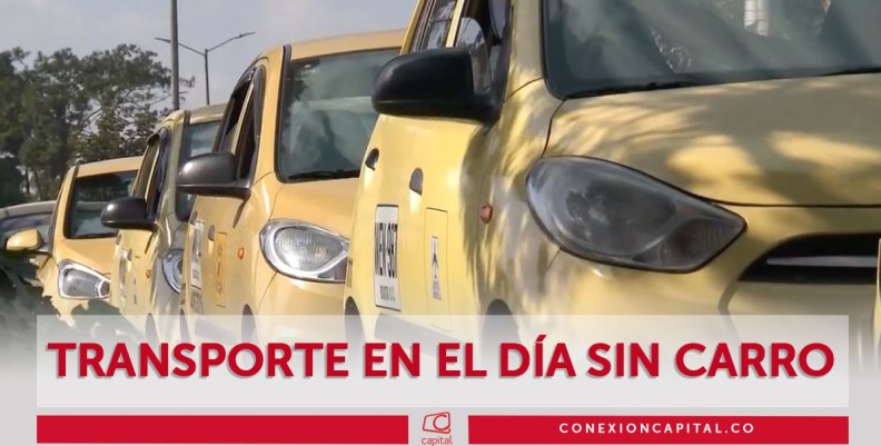 Taxistas en el Día sin Carro