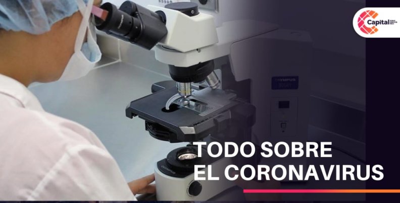 Todo sobre el coronavirus