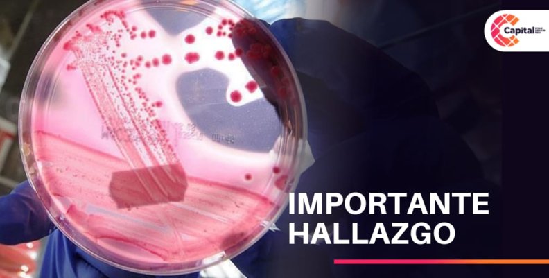 Importante hallazgo para combatir el coronavirus en Colombia