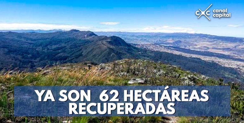 YA-SON--62-HECTÁREAS-RECUPERADAS