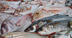 Pescados sobre una mesa