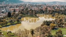 Un lago con árboles alrededor