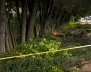 Árbol cayó sobre una familia en Suba