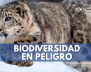 biodiversidad (1)