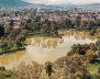 Un lago con árboles alrededor