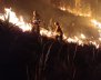 Bomberos apagando un incendio en un bosque