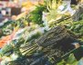Surtido de verduras