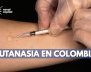 Eutanasia: ¿muerte asistida para terminar con un sufrimiento intratable?