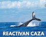 REACTIVAN-CAZA-