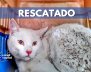 RESCATADO