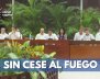 SIN-CESE-AL-FUEGO