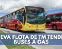 buses-transmilenio