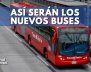 buses-tm