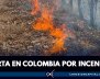 incendios