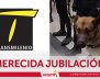 Perros de vigilancia se retiran de las estaciones de TransMilenio