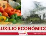 Auxilio económico a campesinos por heladas