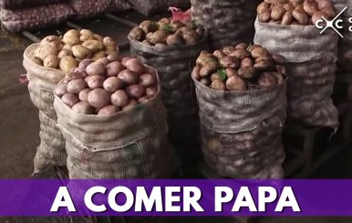 Los seis tipos de papa que se pueden encontrar en Bogotá