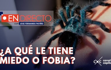 ¿Cómo superar las fobias o temores?