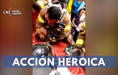 Bomberos le salvan la vida a dos perros en un incendio