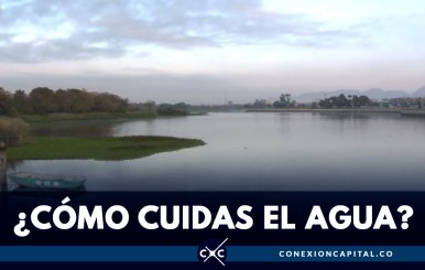 Hoy se conmemora el Día Mundial del Agua