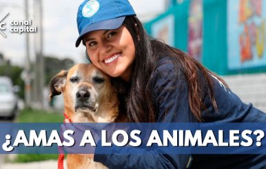 ¿AMAS-A-LOS-ANIMALES-