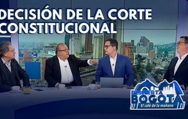 Análisis sobre la decisión de la Corte Constitucional