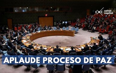 Aplaude-proceso-de-paz-