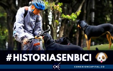 Así trabaja un paseador de perros en bici