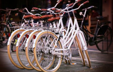 Exhibición de bicicletas.