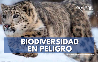 biodiversidad (1)